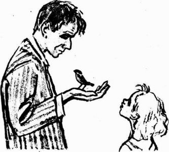 Муха с капризами (с илл.) - img510104320_m.jpg