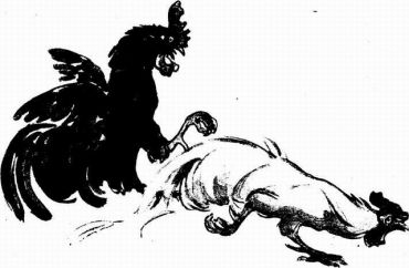 Муха с капризами (с илл.) - img510104351_m.jpg