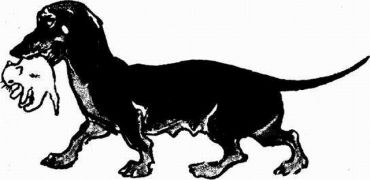 Муха с капризами (с илл.) - img510104425_m.jpg