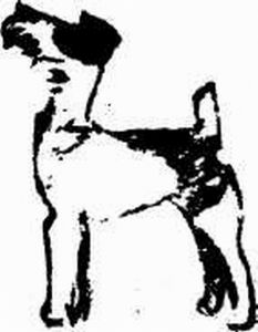 Муха с капризами (с илл.) - img510104442_m.jpg