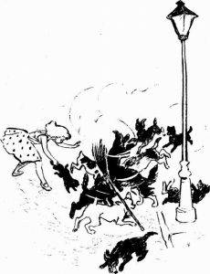 Муха с капризами (с илл.) - img510104029_m.jpg