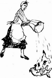 Муха с капризами (с илл.) - img510104131_m.jpg