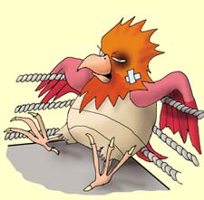 Энциклопедия покемонов - spearow.jpg