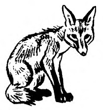 Забавные животные - i_030.jpg