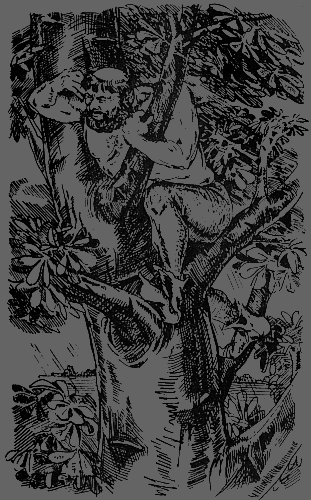 Робин Гуд (с иллюстрациями) - g6.png