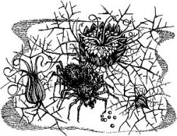 Фата-Моргана 2 (Фантастические рассказы и повести) - i_009.jpg