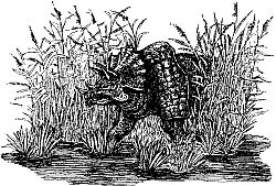 Фата-Моргана 2 (Фантастические рассказы и повести) - i_035.jpg