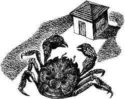 Фата-Моргана 2 (Фантастические рассказы и повести) - i_038.jpg