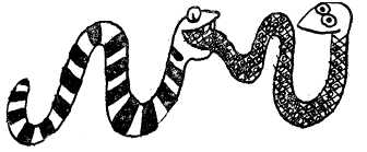 Заводи кого угодно, только не крокодила! - i_014.jpg