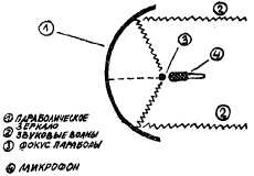 Заводи кого угодно, только не крокодила! - i_042.jpg