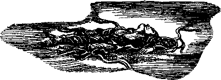 Фата-Моргана 1 (Фантастические рассказы и повести) - i_002.png