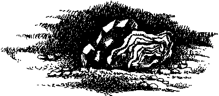 Фата-Моргана 1 (Фантастические рассказы и повести) - i_046.png