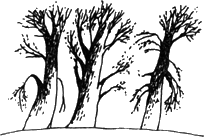 Топало - _60.png