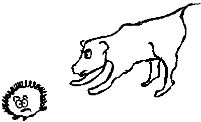 Про волков, собак и кошек - i_011.png