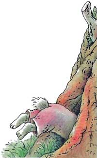 Сказки   дядюшки   Римуса (Иллюстр. М.Волковой) - i_020.jpg