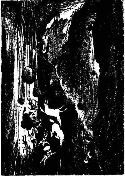 Я шел с Ганнибалом - i_007.jpg