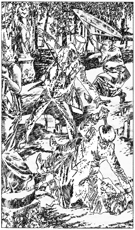 Коронация, или Последний из романов - i_003.png