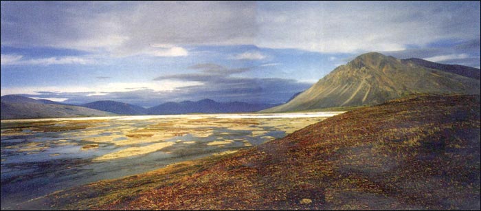 Одна на краю света - fig2.jpg