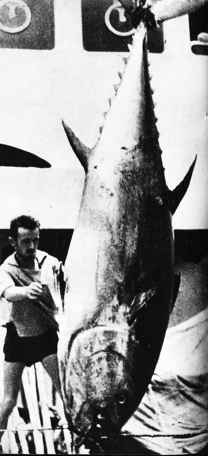 Карибский сувенир - i_035.jpg