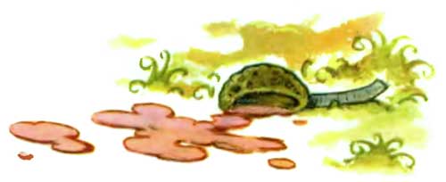 Желудёк - i_020.jpg