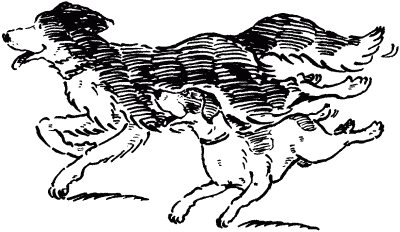 Собачье счастье - i_005.png