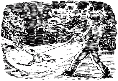 Собачье счастье - i_007.png