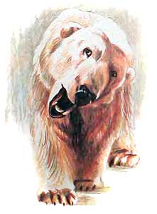 Фрам — полярный медведь - i_051.jpg