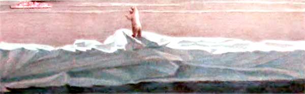 Фрам — полярный медведь - i_053.jpg