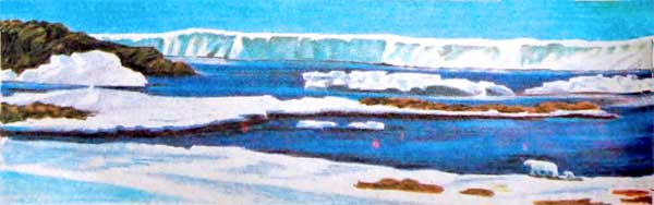 Фрам — полярный медведь - i_059.jpg