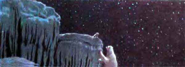 Фрам — полярный медведь - i_070.jpg