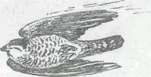 Повести и рассказы - i_006.jpg