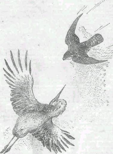 Повести и рассказы - i_007.jpg