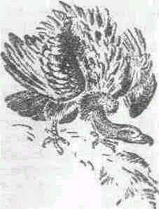 Повести и рассказы - i_016.jpg