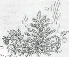 Повести и рассказы - i_019.jpg