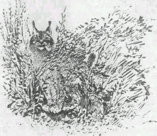 Повести и рассказы - i_020.jpg