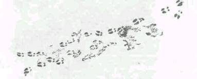 Повести и рассказы - i_021.jpg