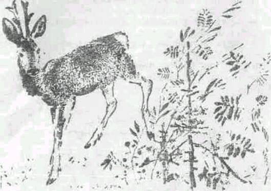 Повести и рассказы - i_022.jpg