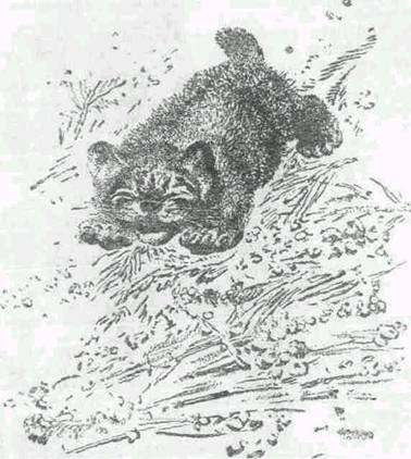 Повести и рассказы - i_023.jpg