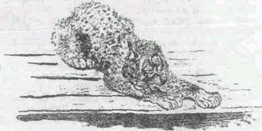 Повести и рассказы - i_026.jpg