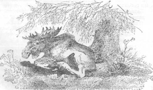 Повести и рассказы - i_041.jpg