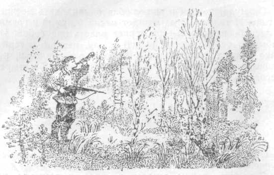 Повести и рассказы - i_047.jpg