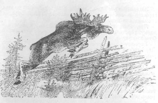 Повести и рассказы - i_050.jpg