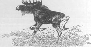 Повести и рассказы - i_051.jpg