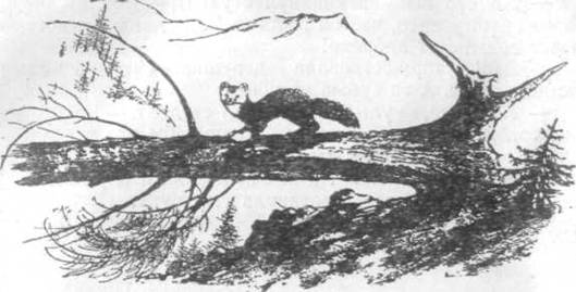 Повести и рассказы - i_052.jpg