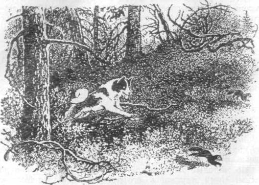 Повести и рассказы - i_053.jpg