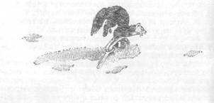 Повести и рассказы - i_061.jpg