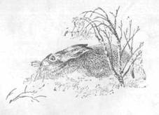 Повести и рассказы - i_064.jpg