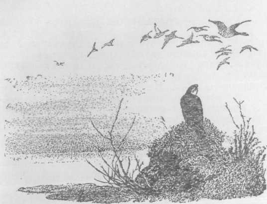 Повести и рассказы - i_075.jpg