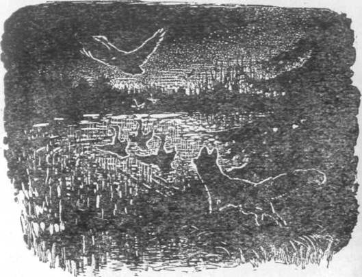 Повести и рассказы - i_076.jpg