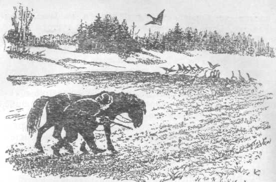 Повести и рассказы - i_080.jpg